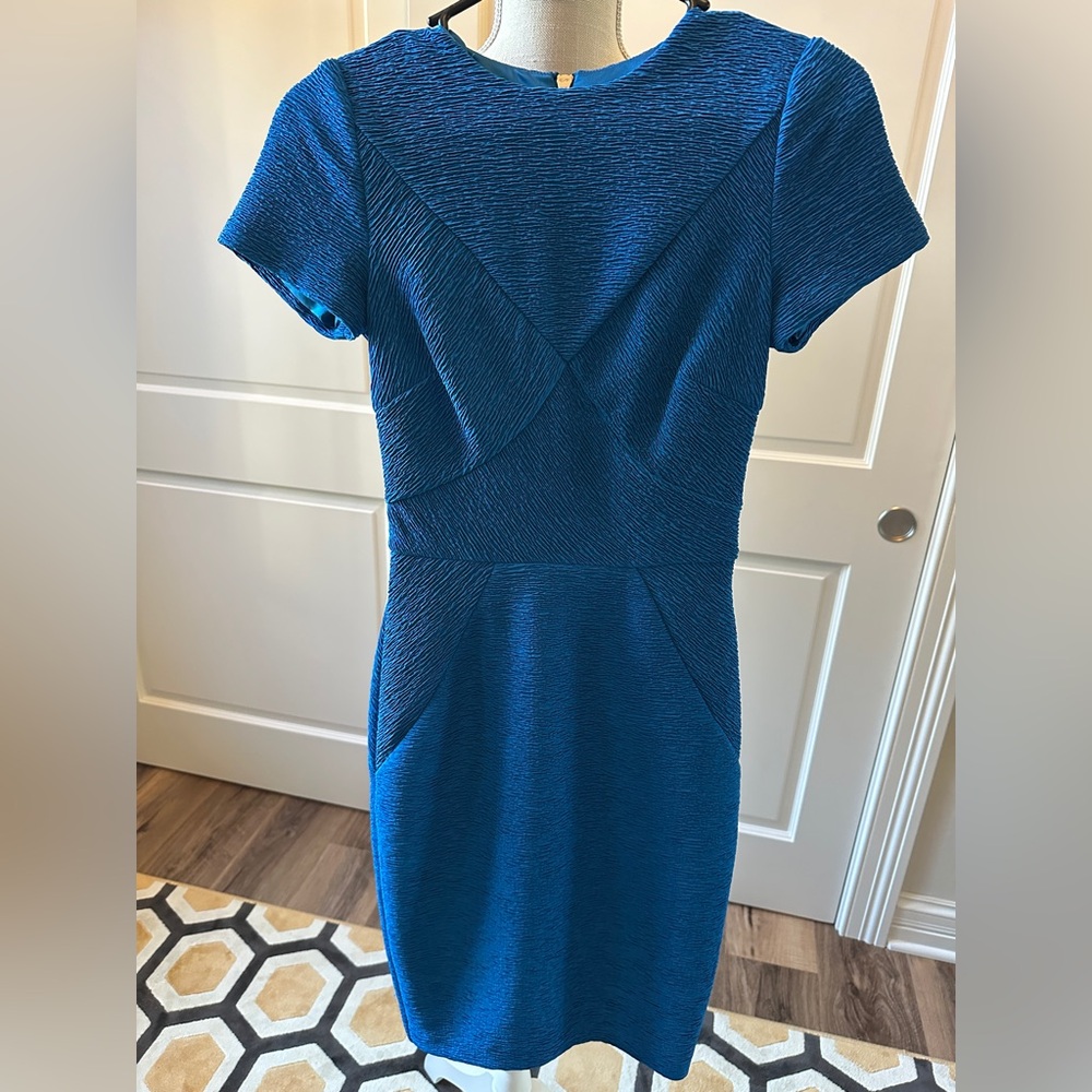 Ted Baker Blue Bodycon Dress